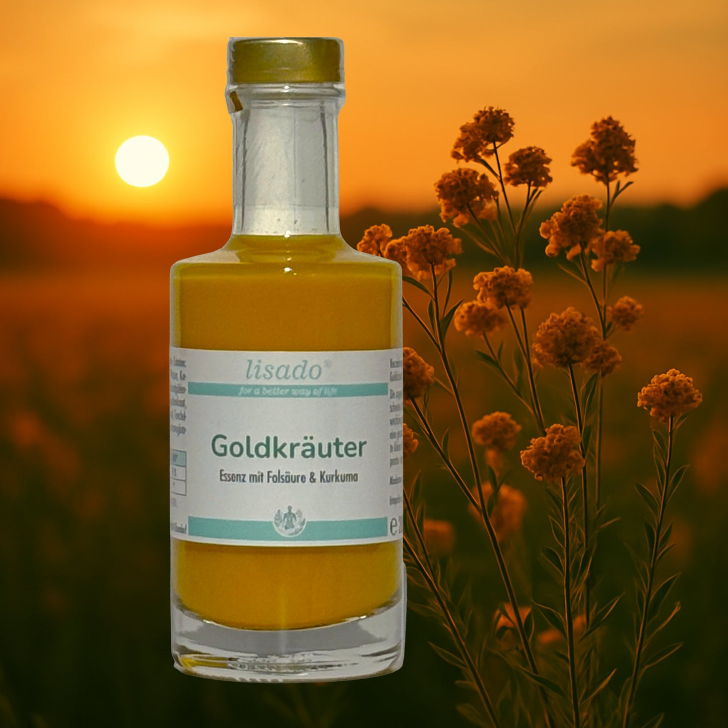 Goldkräuter - Bitterstoffe & Folsäure