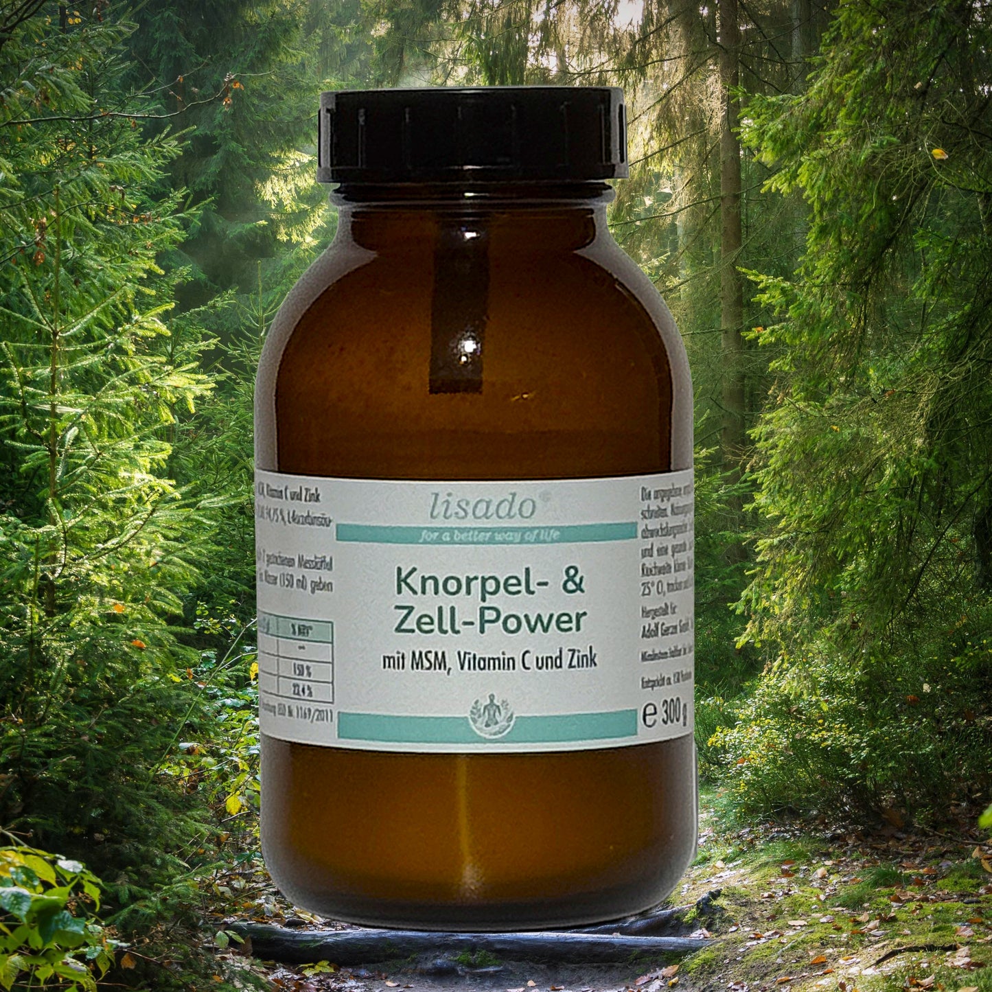 Knorpel- & Zell-Power - MSM(+)